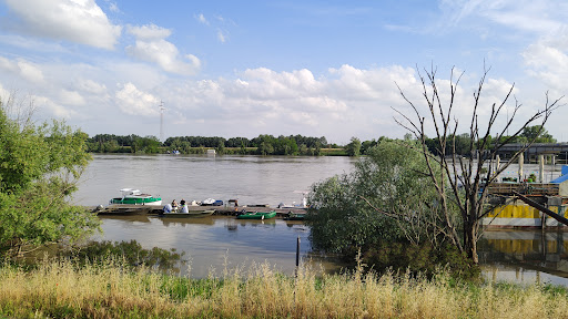 Comune di Polesella - Thumbnail