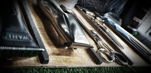 Barber22 - Visual