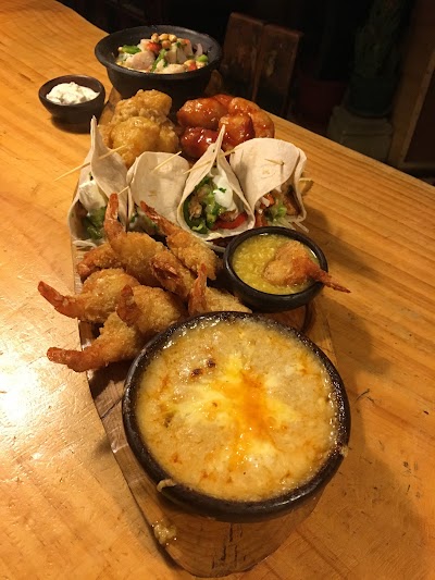 Photos of Bar iguana