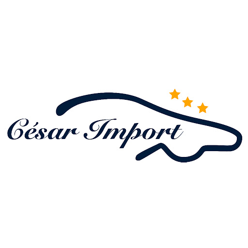 Cesar Import - Visual