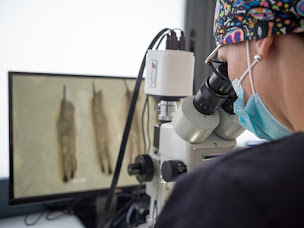 Photo n°14 de NHT - Natural Hair Transplant - Greffe implant capillaire cheveux à Avignon (Clinique de transplantation de cheveux)