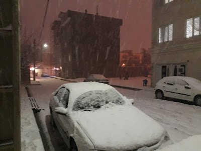 Photos of Afshin Park