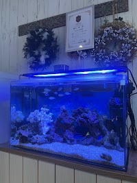 カーコンビニ倶楽部CoCoRo松原天美店／自動車修理工場