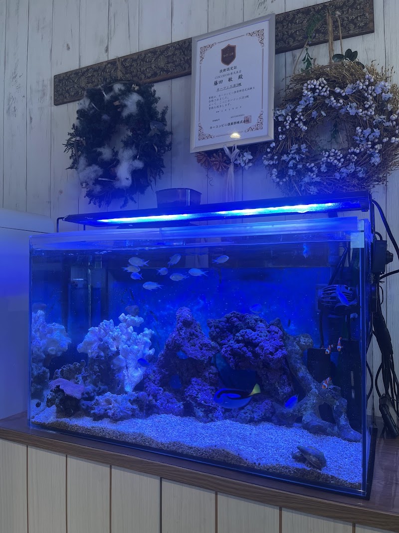 カーコンビニ倶楽部CoCoRo松原天美店／自動車修理工場