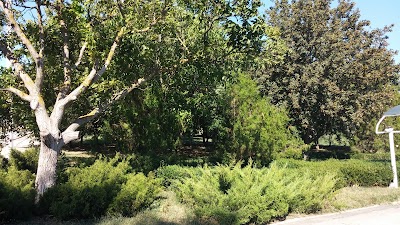 park