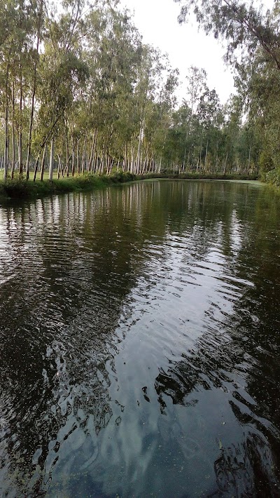 Photos of Nurul Huda Fish & Poultry Farm