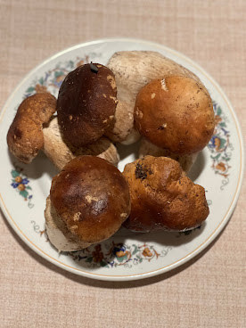 Il Matriciano by null