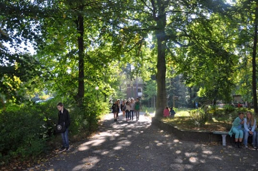 Wald-Oberschule - Thumbnail