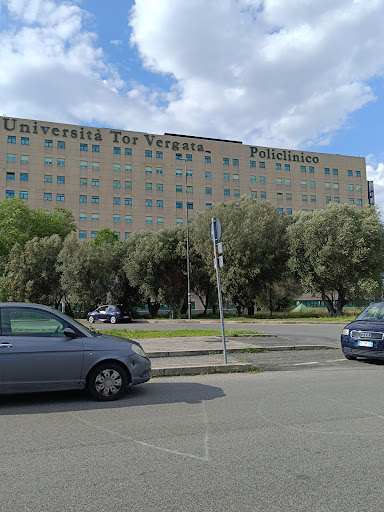 Facoltà di Medicina e Chirurgia - Cattedra di Genetica - Thumbnail