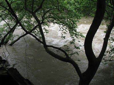 Photos of Kresnensko hanche