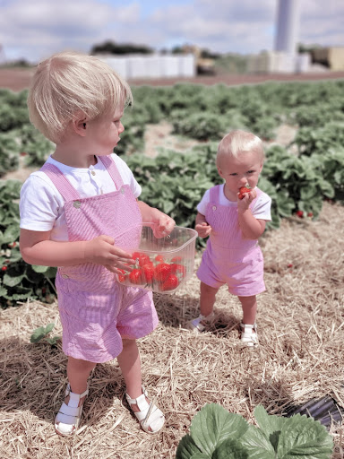 Petits Amours - Visual