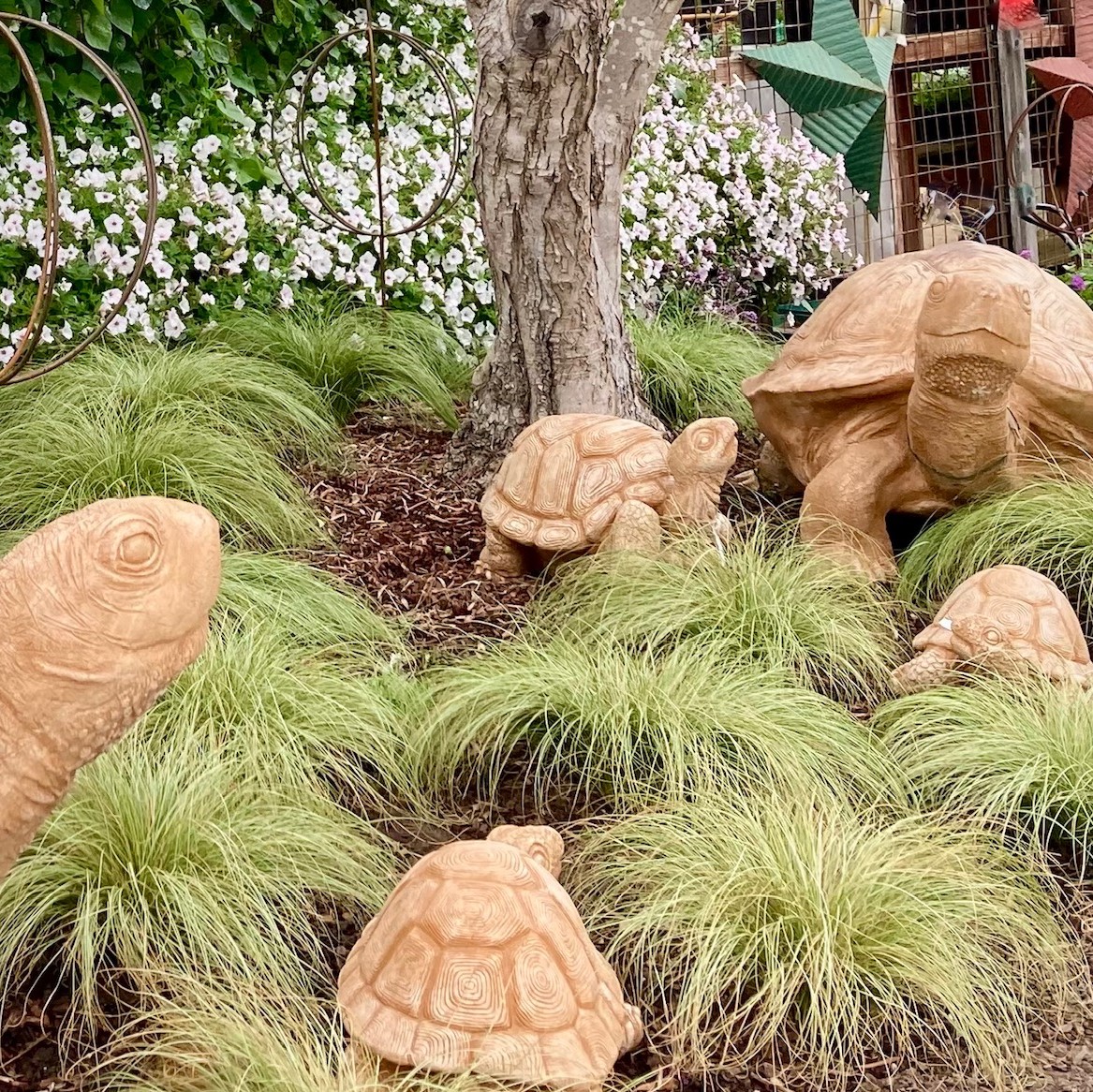 Cottage Gardens of Petaluma, Inc.