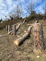 Photo n°12 de MS ARBO à Mende (Paysagiste)