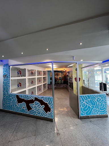 PaPets Petshop & Grooming