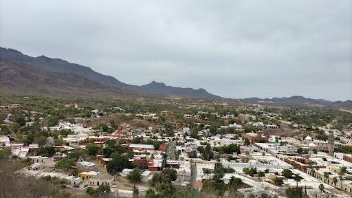 Alamos sonora - Visual