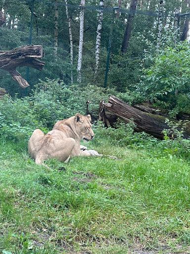 Eiszeitsafari - Thumbnail