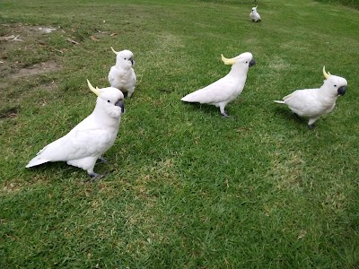Photos of Kennett River Holiday Park