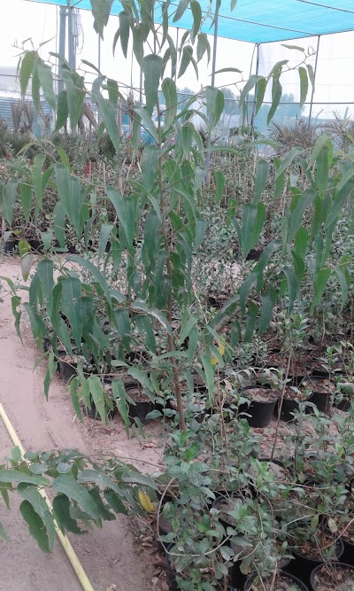 Photos of Farm Tawari