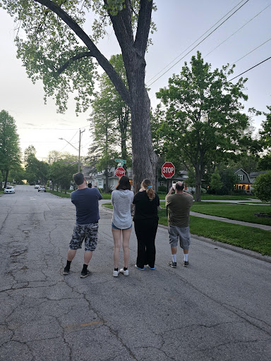 DoubleStopSign - Visual