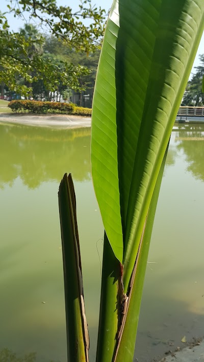 Photos of 奥特美国际会所