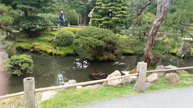 Japanese Tea Garden