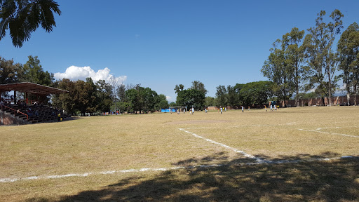 Campo Deportivo De El Acebuche