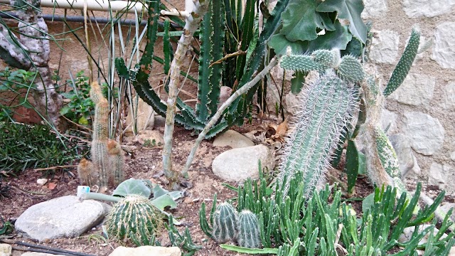 Jardin des Plantes