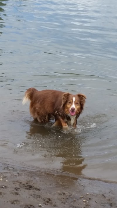 Cedar Island Park