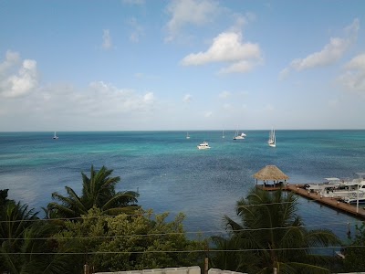 Photos of La Vida Perazosa