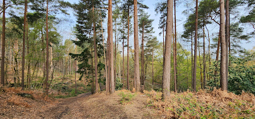 Earlswood Park - Thumbnail