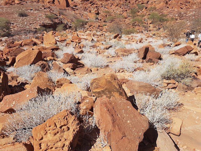 Twyfelfontein