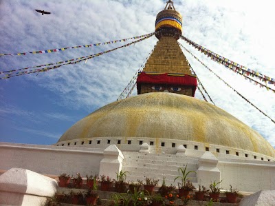 Photos of Well Nepal Treks Pvt. Ltd