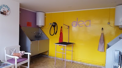 Photos of Dea Salon for pets