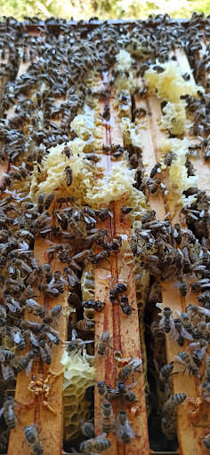 Photo de Farm'Abeille à Bréhal (50290)