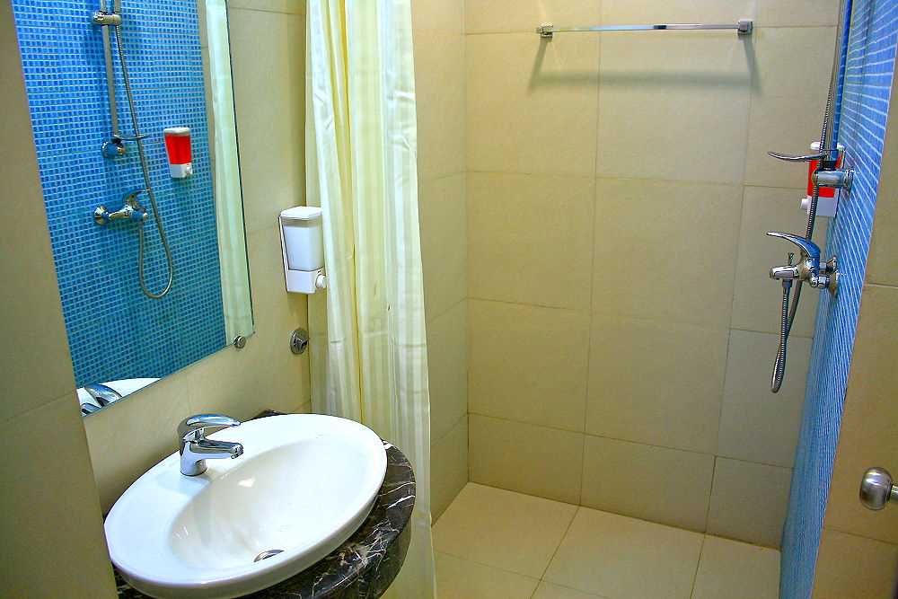 Ginger Manesar photo 4