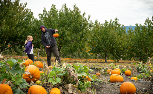 Davison Orchards Country Village - Thumbnail
