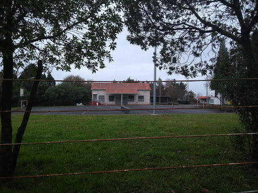 Local Laraxe - Visual