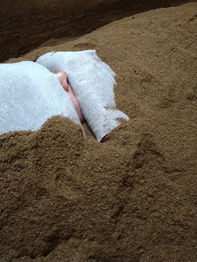 ぼぉーる・らーでん