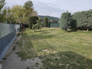 Photo n°1 de Entre Chiens Et Chats à Villecroze (Service de garde d'animaux)