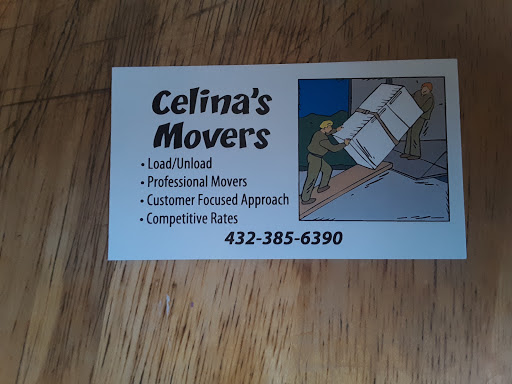 Celina's movers - Visual