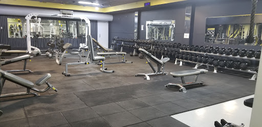Stack City Gym - Visual