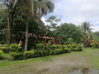 Photos of Cesar's Tropical Hotel