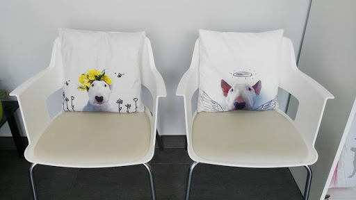 Clínica Veterinaria Dejando Huella