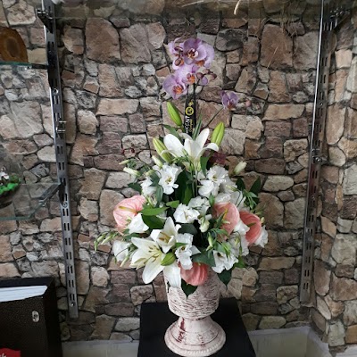Photos of Kent &Ccedil;i&ccedil;ek&ccedil;ilik Polatlı
