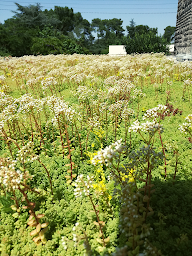 Photo n°9 de Top Toit à Mérignac (Entreprise d'étanchéité)