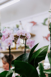 Photo n°31 de Blóm | Fleurs & Coffee Shop à Nîmes (Café)