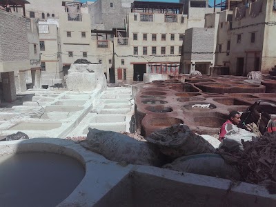 Photos of Badrane tours