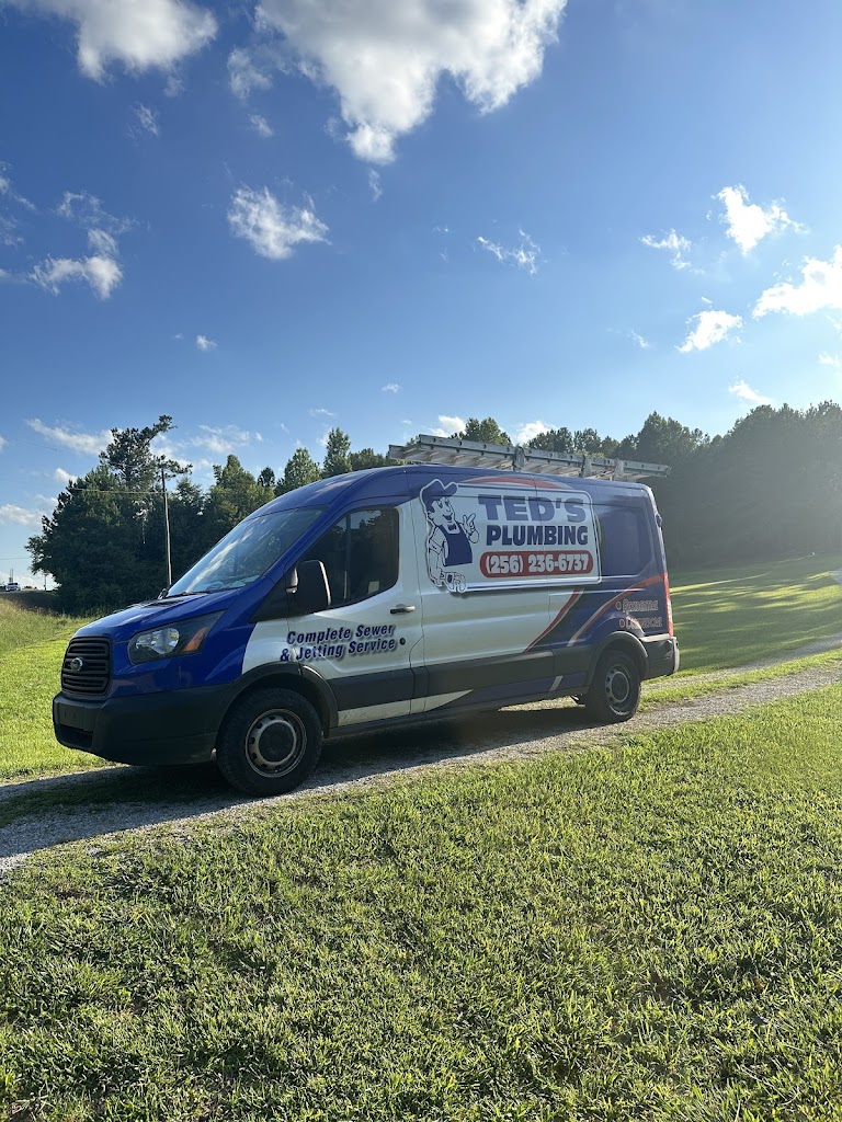 Ted's Plumbing - Plumbing Services