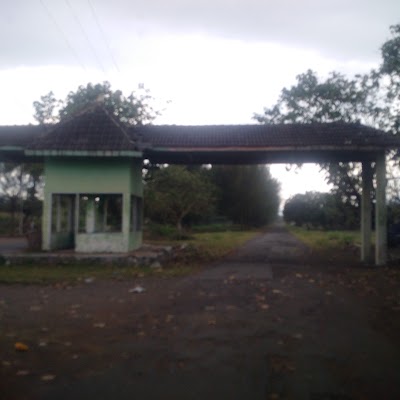 Photos of Pantai Tanjung Papuma