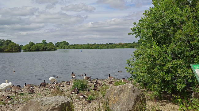 Reviews of Attenborough Nature Centre in Nottingham - Other